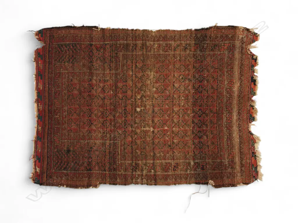 Baluch wool prayer rug, Image 1++